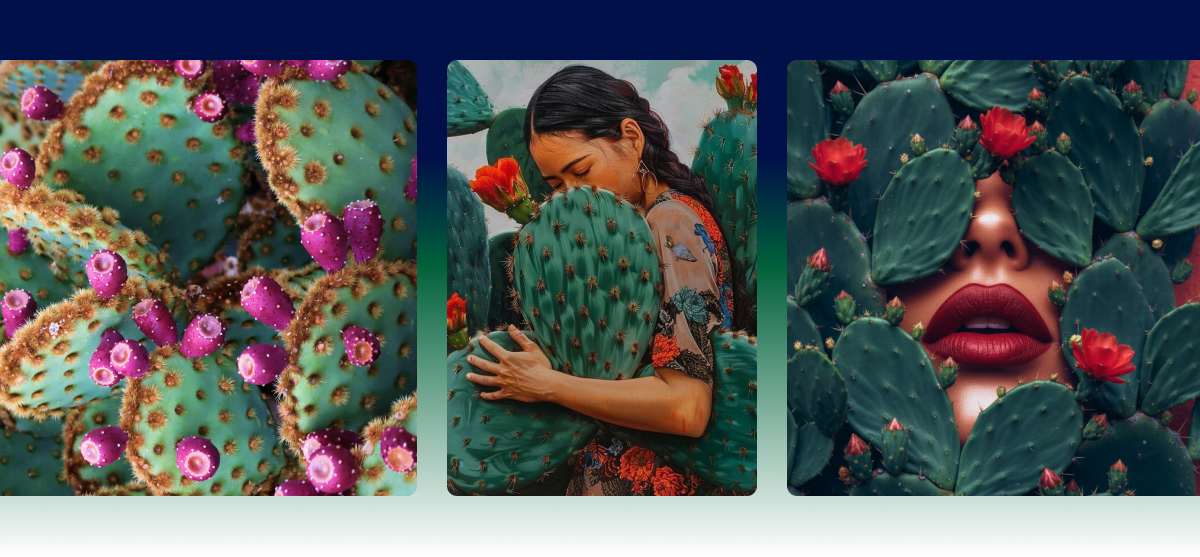 Three images: close-up of cacti with pink flowers, a person holding a cactus, and a person with a cactus covering their face. AI generated images.